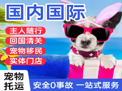 淮安涟水航空运输国际宠物托运 【国